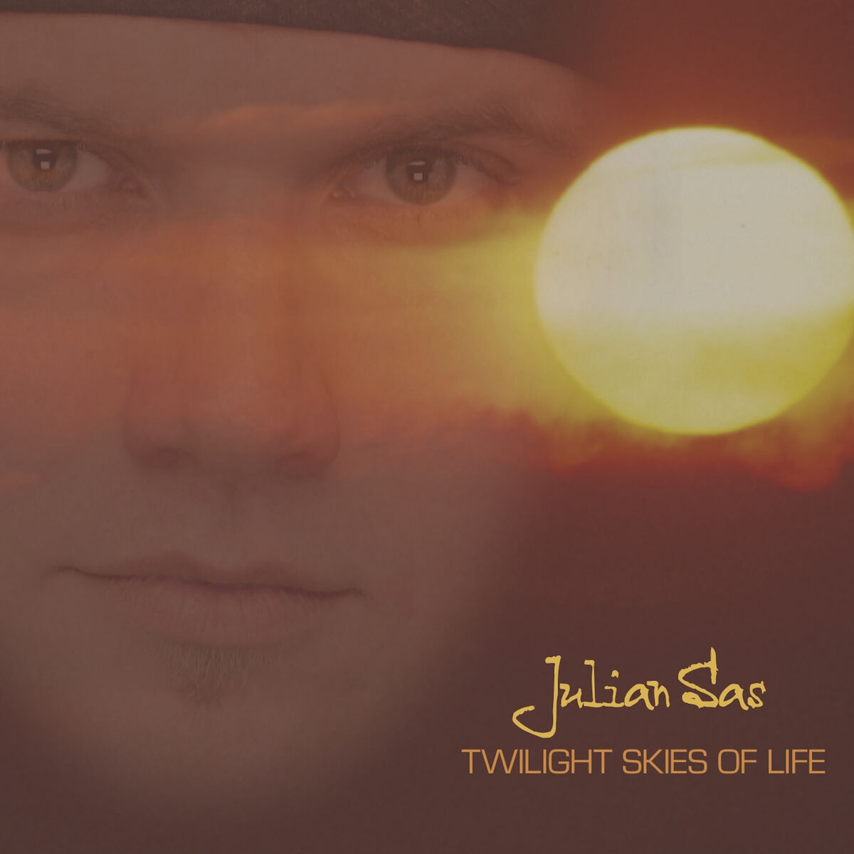Album cover of Twilight Skies of Life