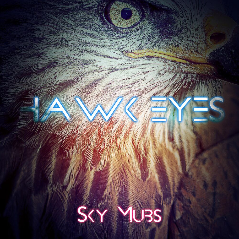 Picture of Hawk Eyes