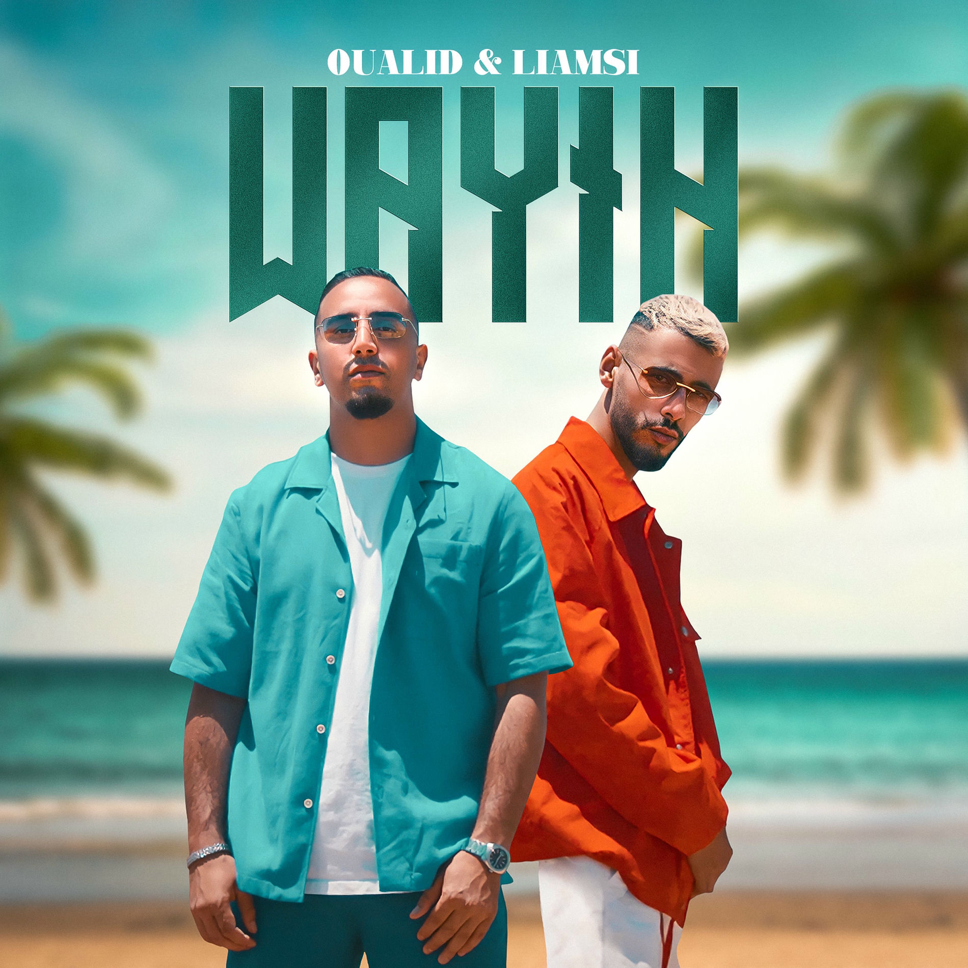 Album cover of Wayih