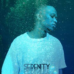 Cover of Serenity