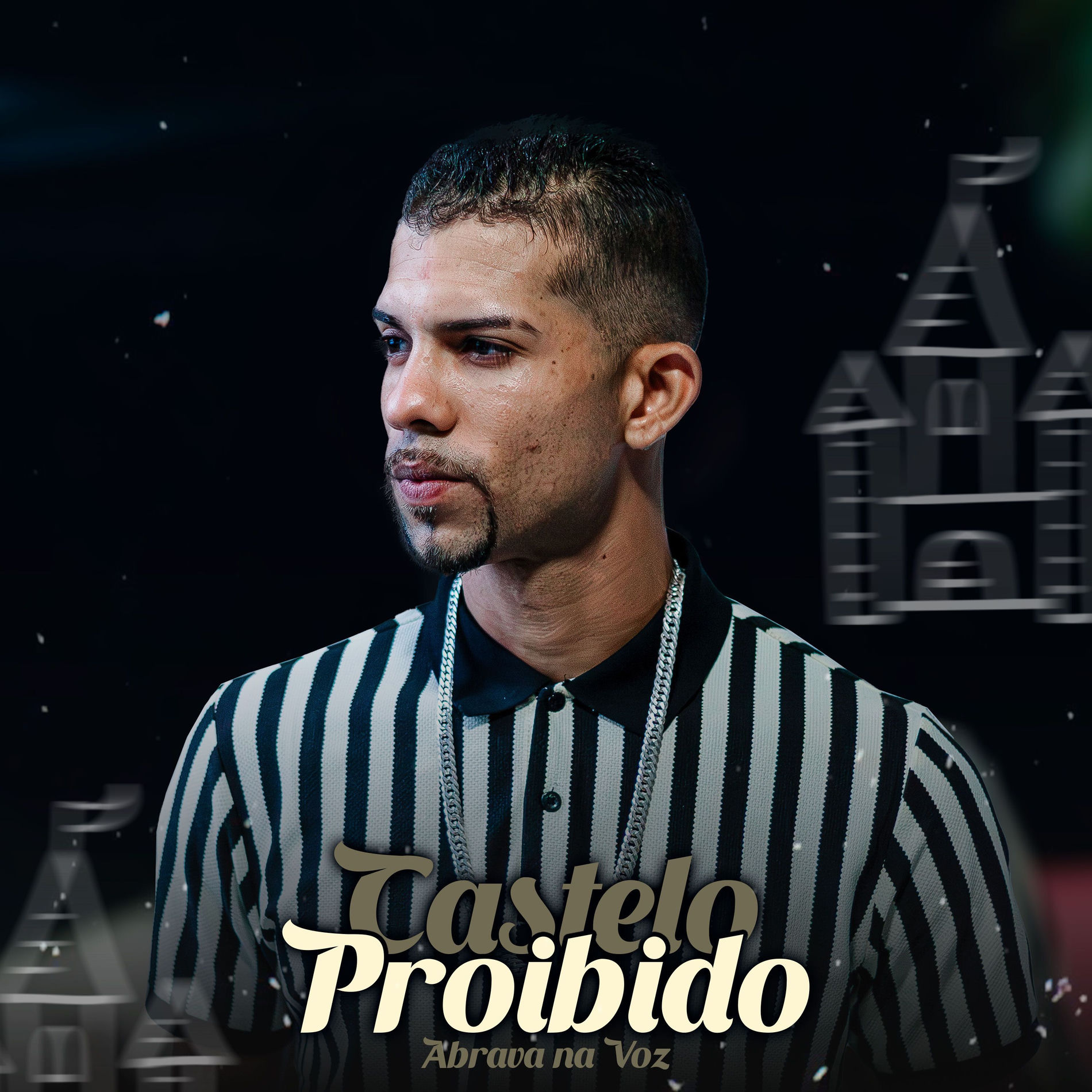 Album cover of Castelo Proibido