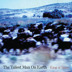 Cover of King of Spain