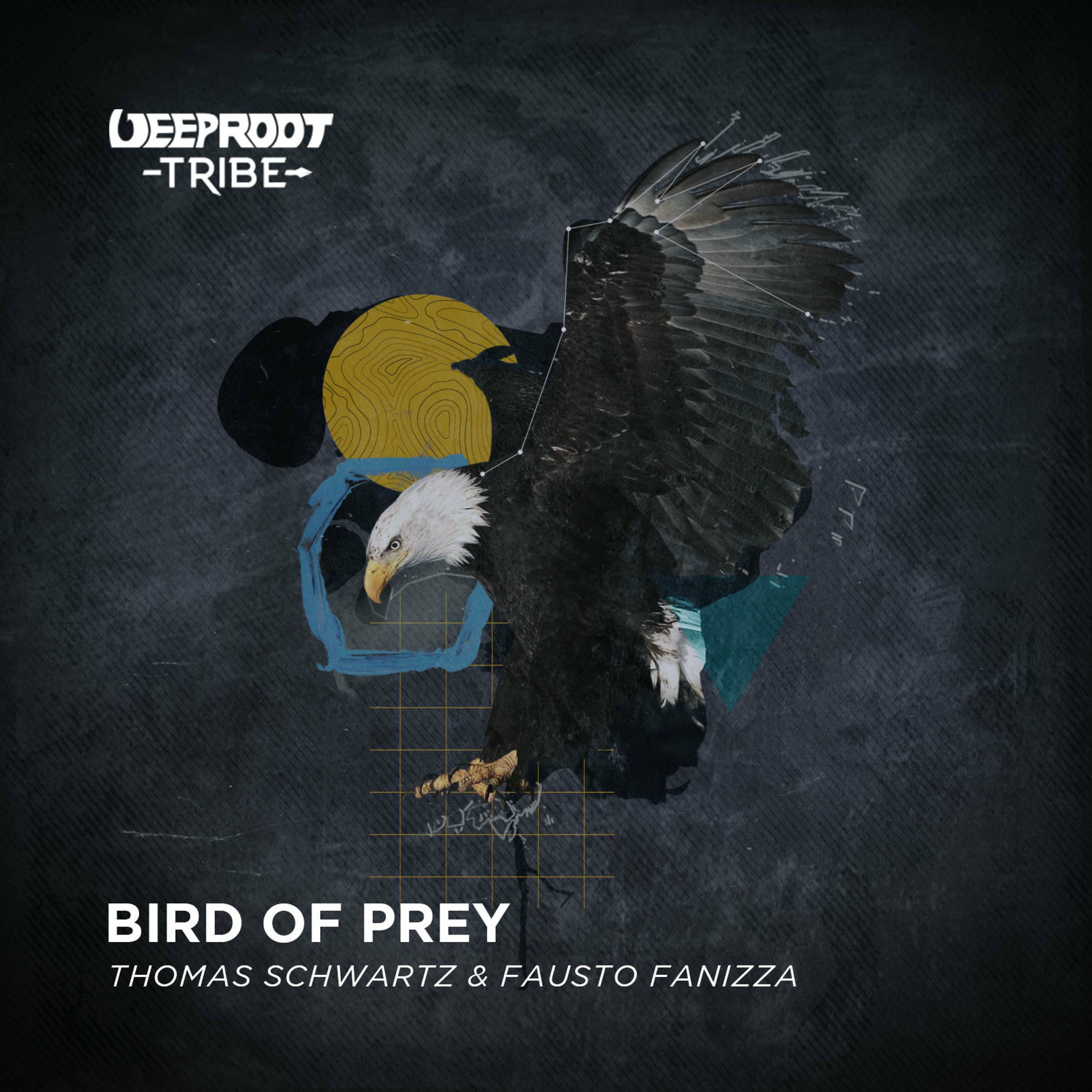 Album cover of Bird Of Prey