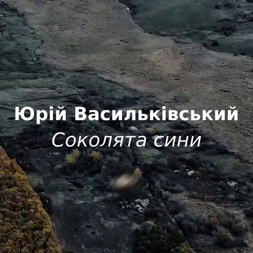 Соколята сини