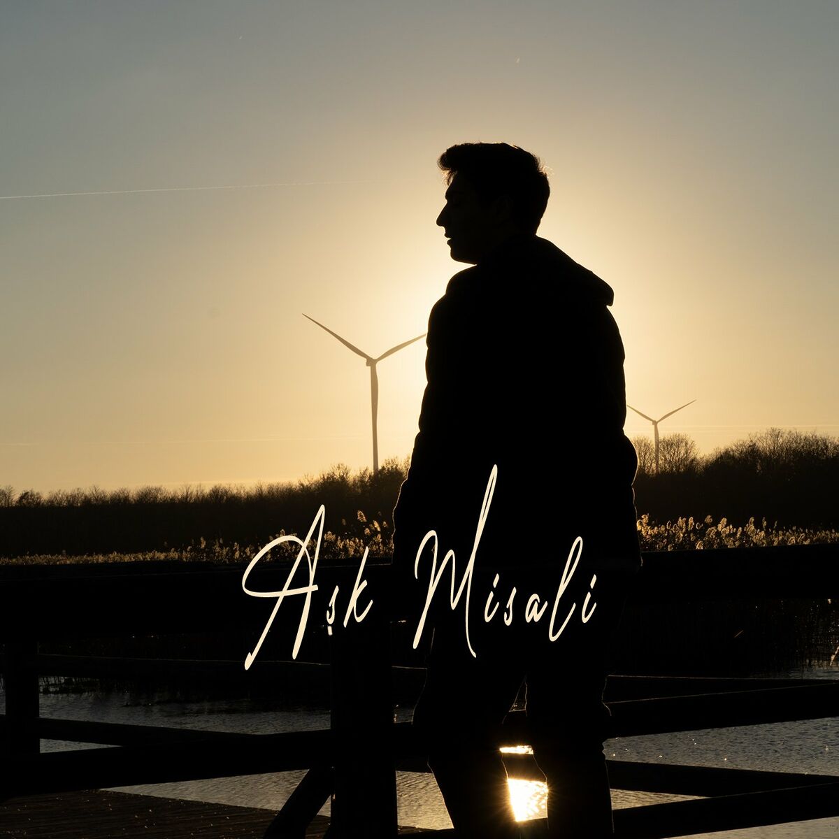 Album cover of Aşk Misali