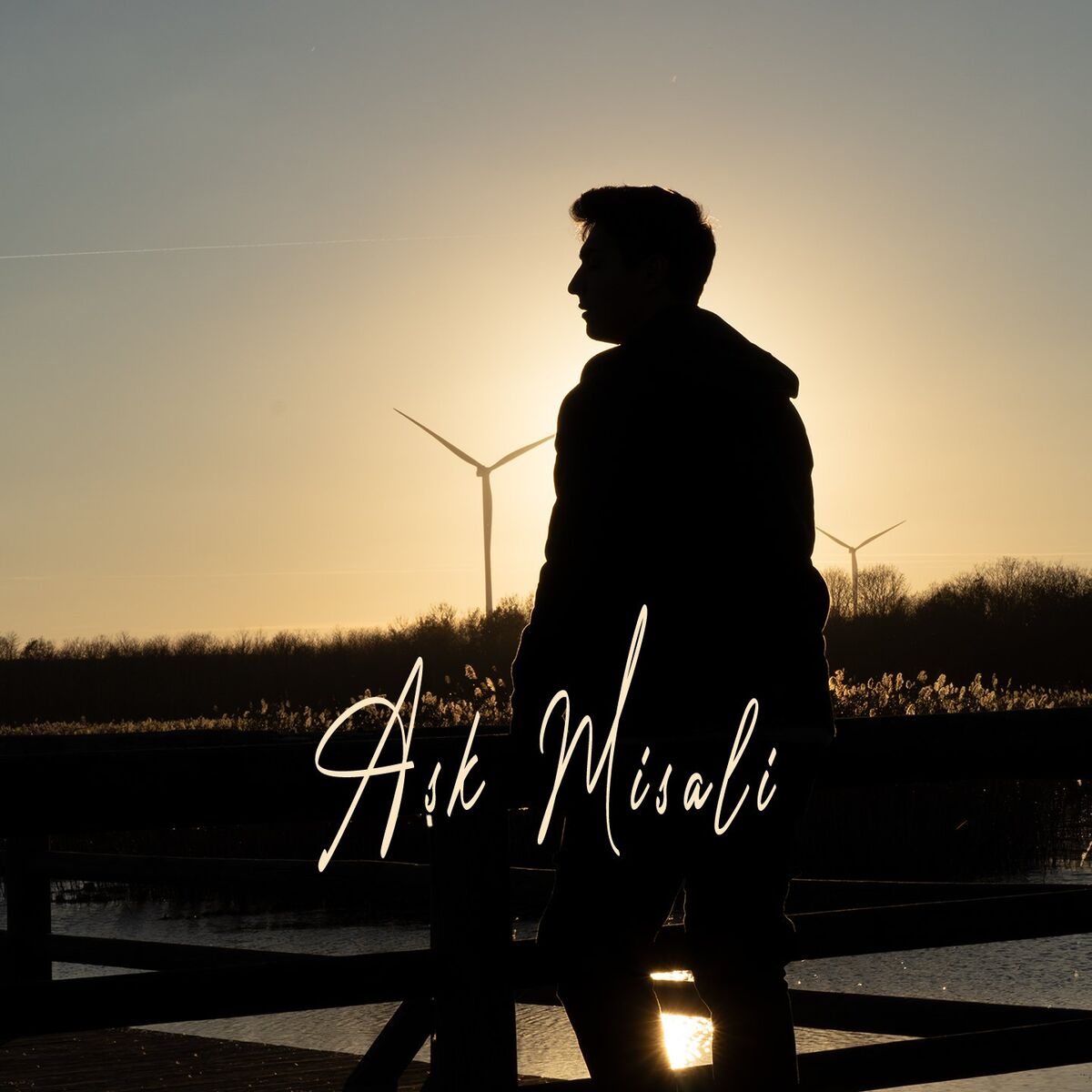 Album cover of Aşk Misali