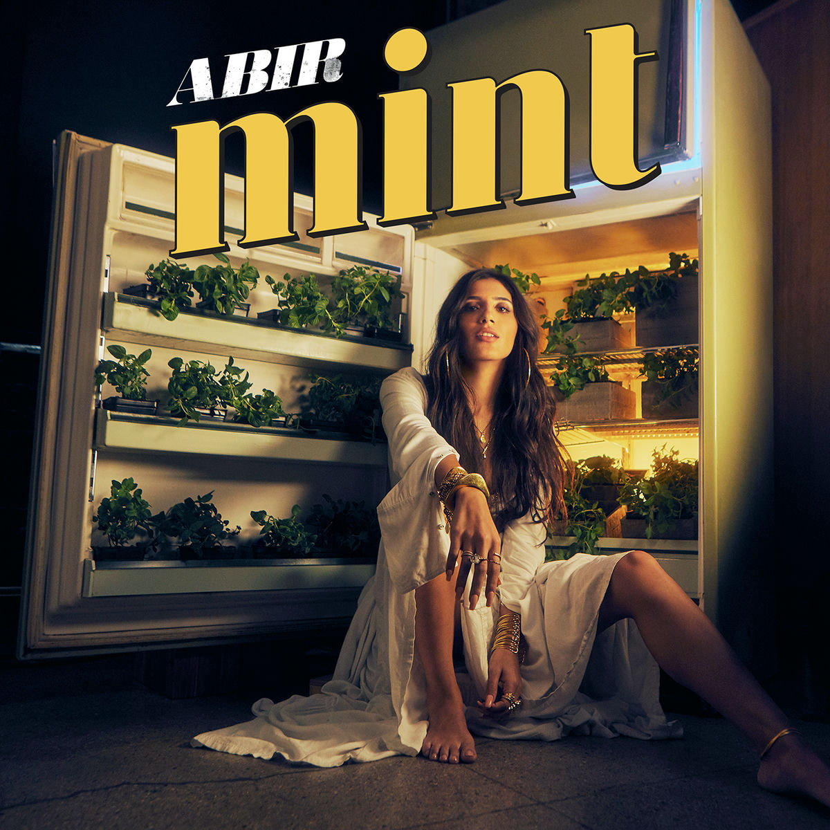 Album cover of MINT