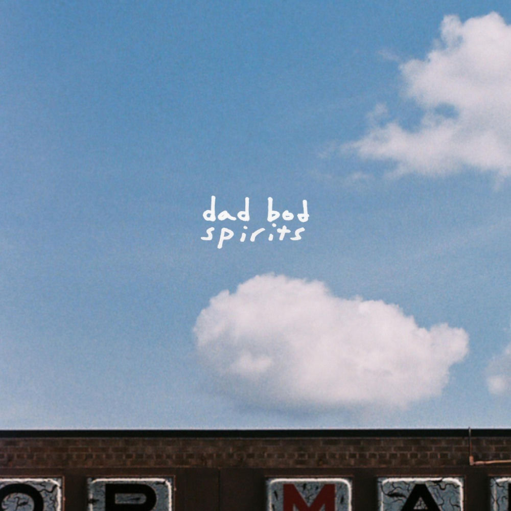 Album artwork for Spirits by DAD BOD