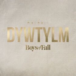 DYWTYLM