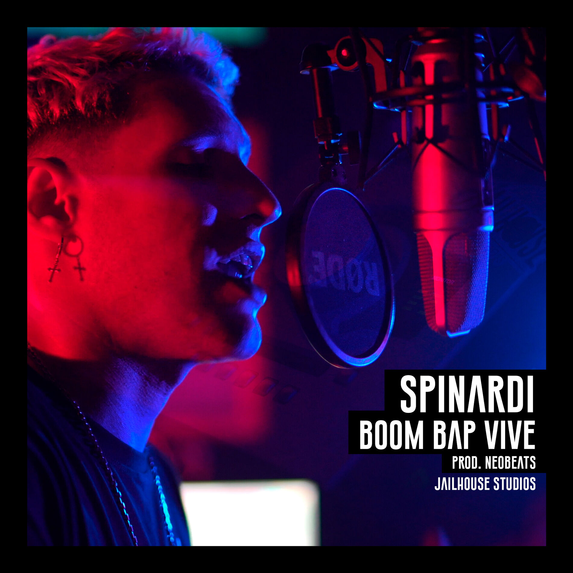 Album cover of Boom Bap Vive