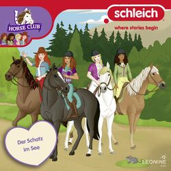 Cover of Folge 21: Der Schatz im See