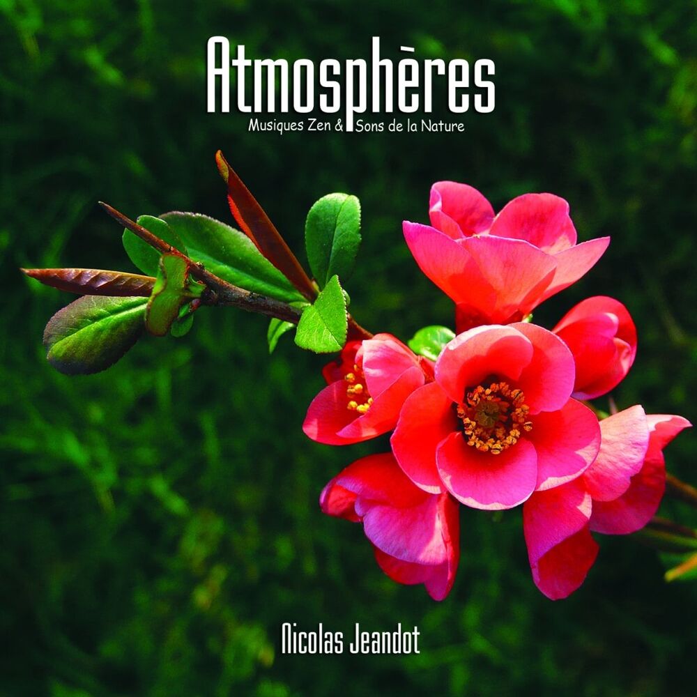 Picture of Atmosphères