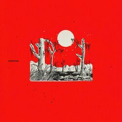 Cover of The Bog Body
