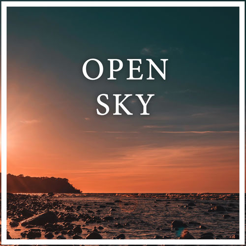 Open Sky by Maneli Jamal - 141 BPM