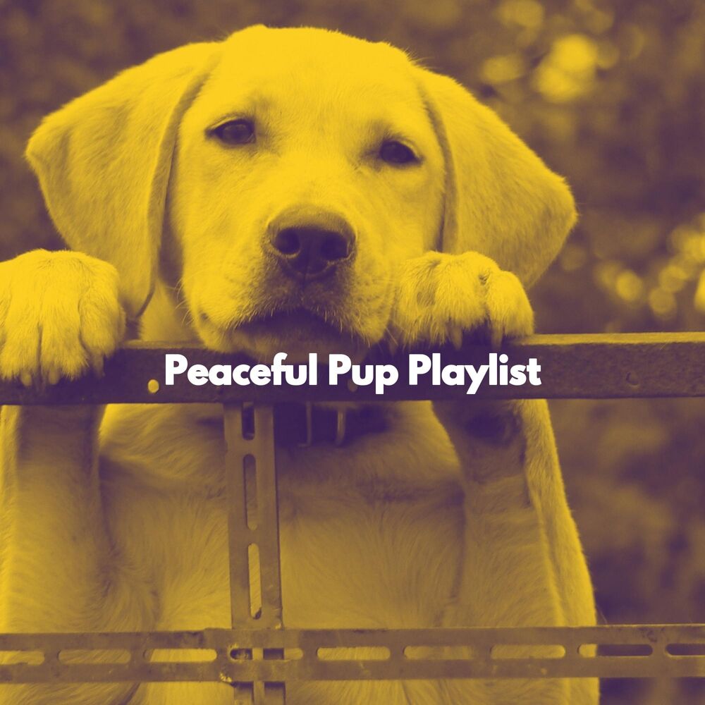 Picture of Peaceful Pup Playlist