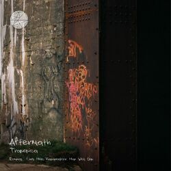 Cover of Aftermath