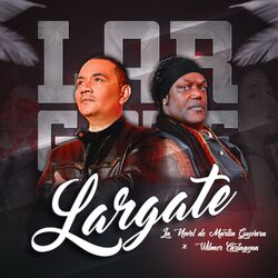 Cover of Largate