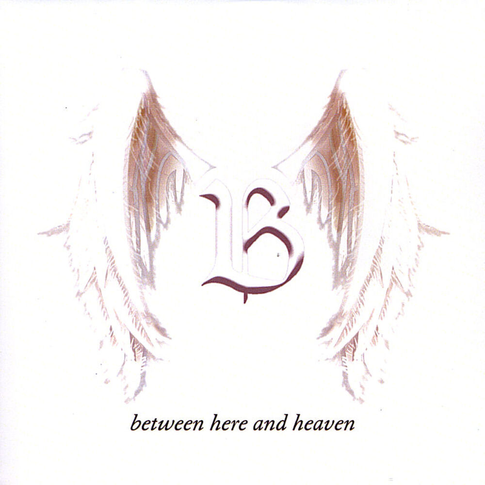 Picture of Between Here and Heaven