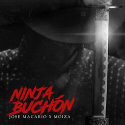 Cover of Ninja Buchón