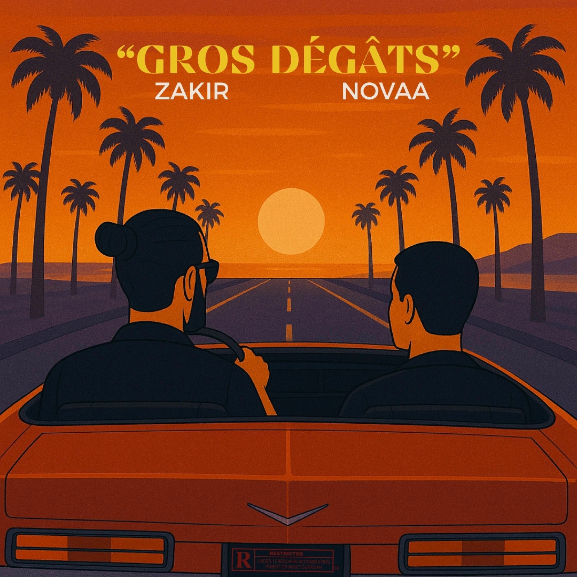 Album cover of Gros dégâts (feat. Novaa)
