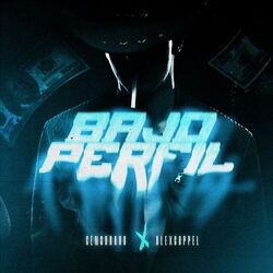 Cover of Bajo Perfil