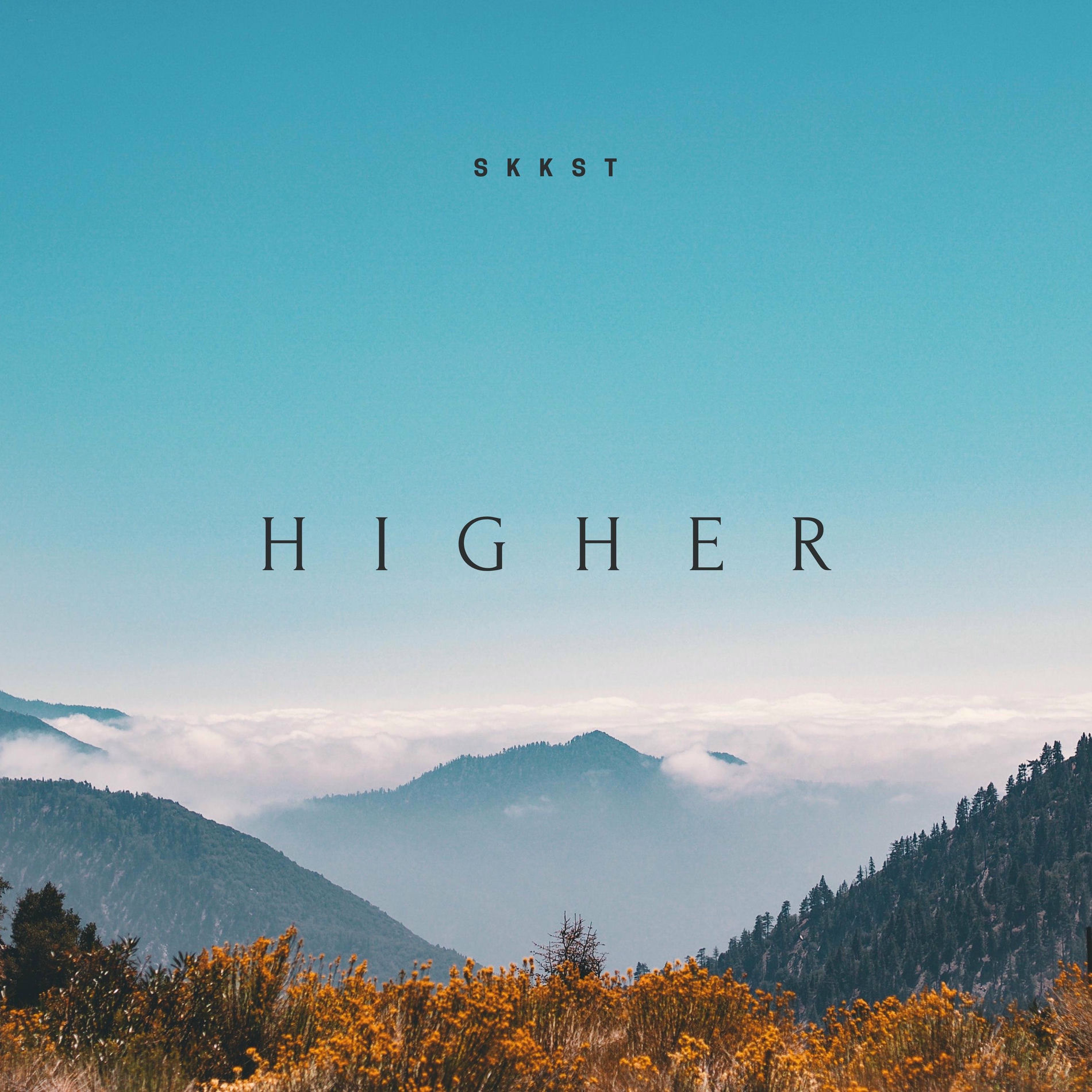 Album cover of Higher