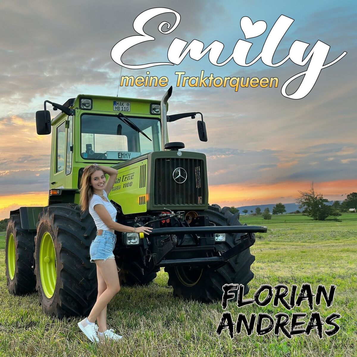 Album cover of Emily meine Traktorqueen