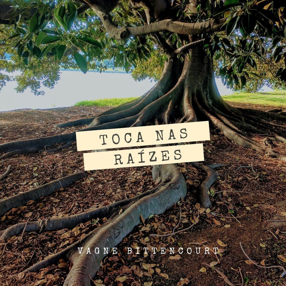Album cover of Toca nas Raízes