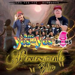 Cover of Perversamente Bella