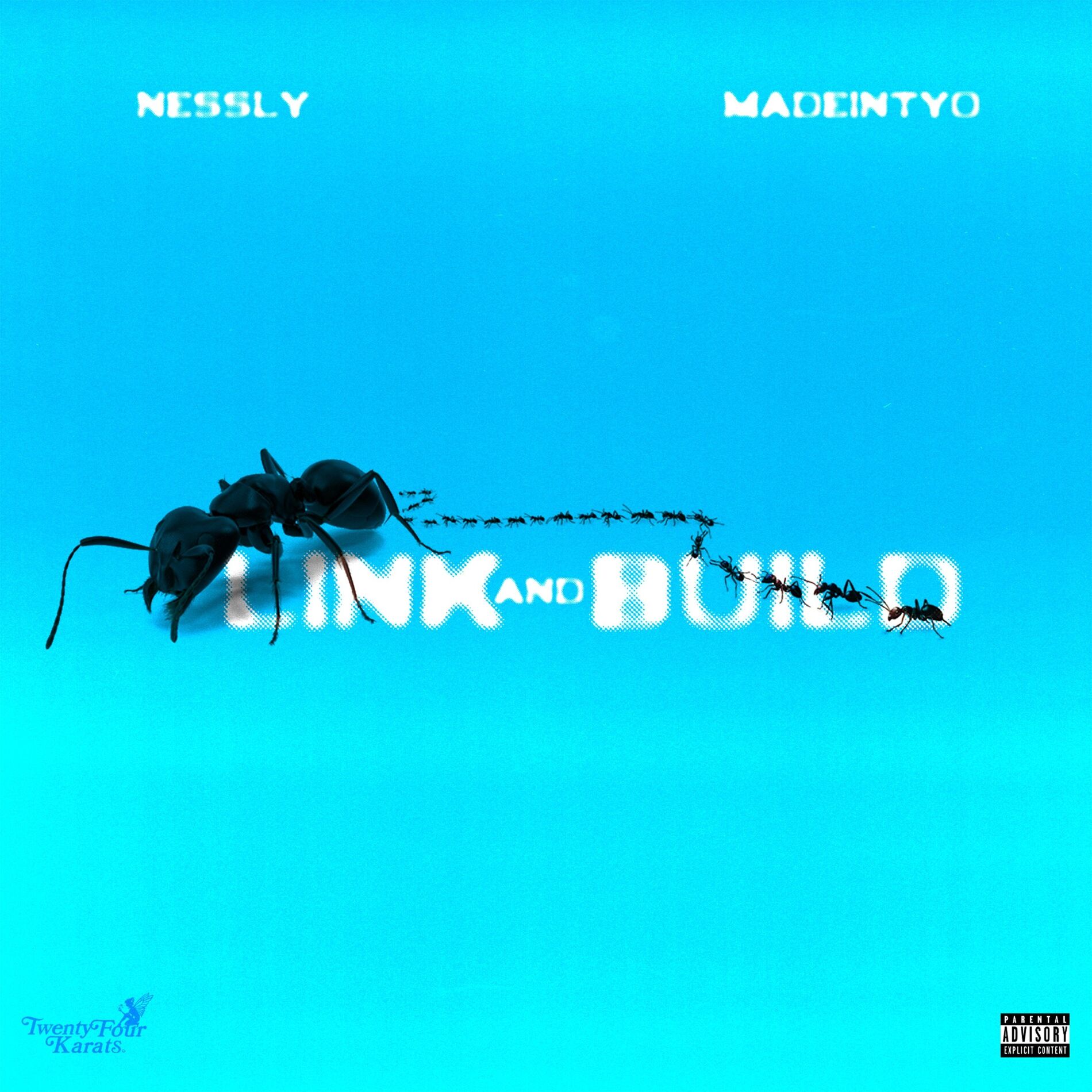 Album cover of Link And Build