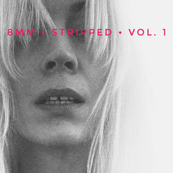 Cover of Stripped, Vol. 1