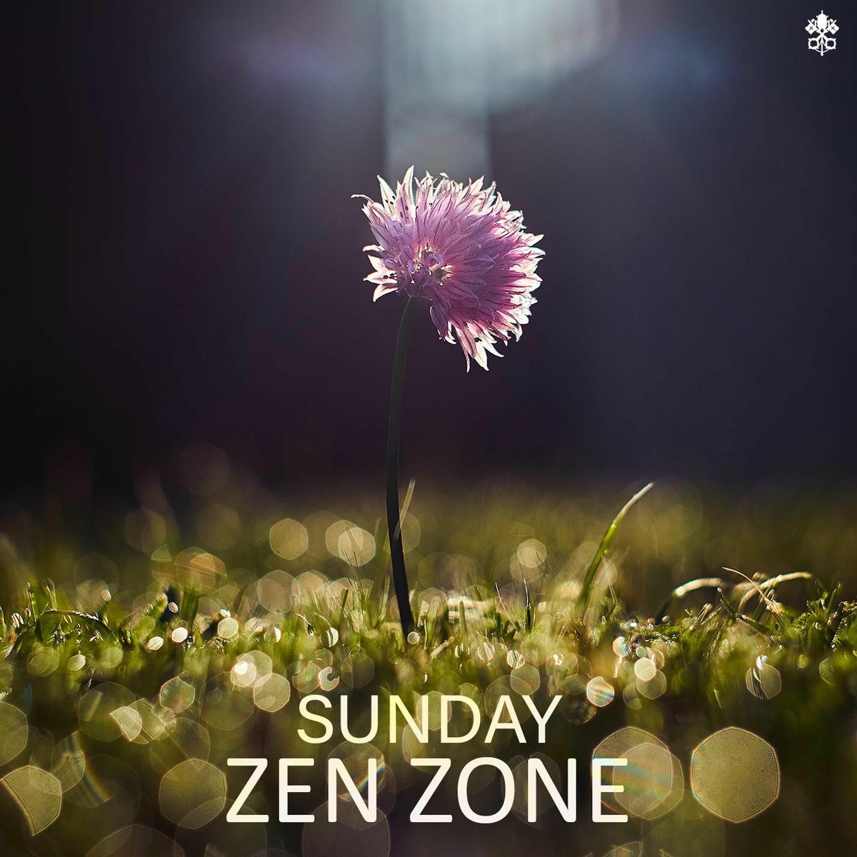 Album cover of Sunday Zen Zone