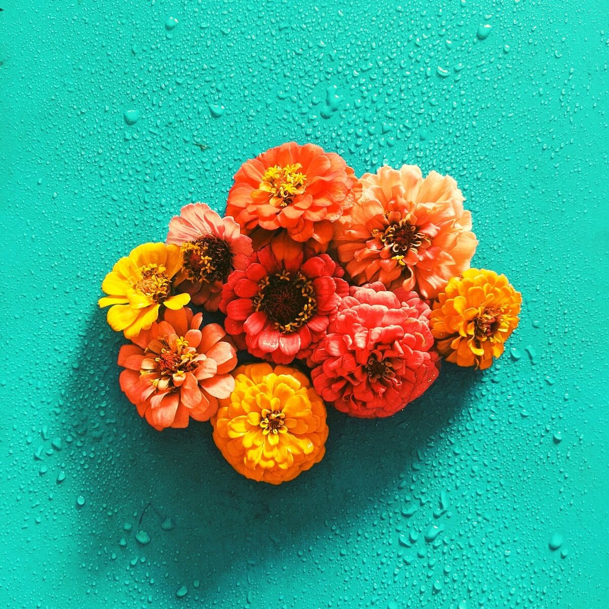 Album cover of Start Living (Acoustic)