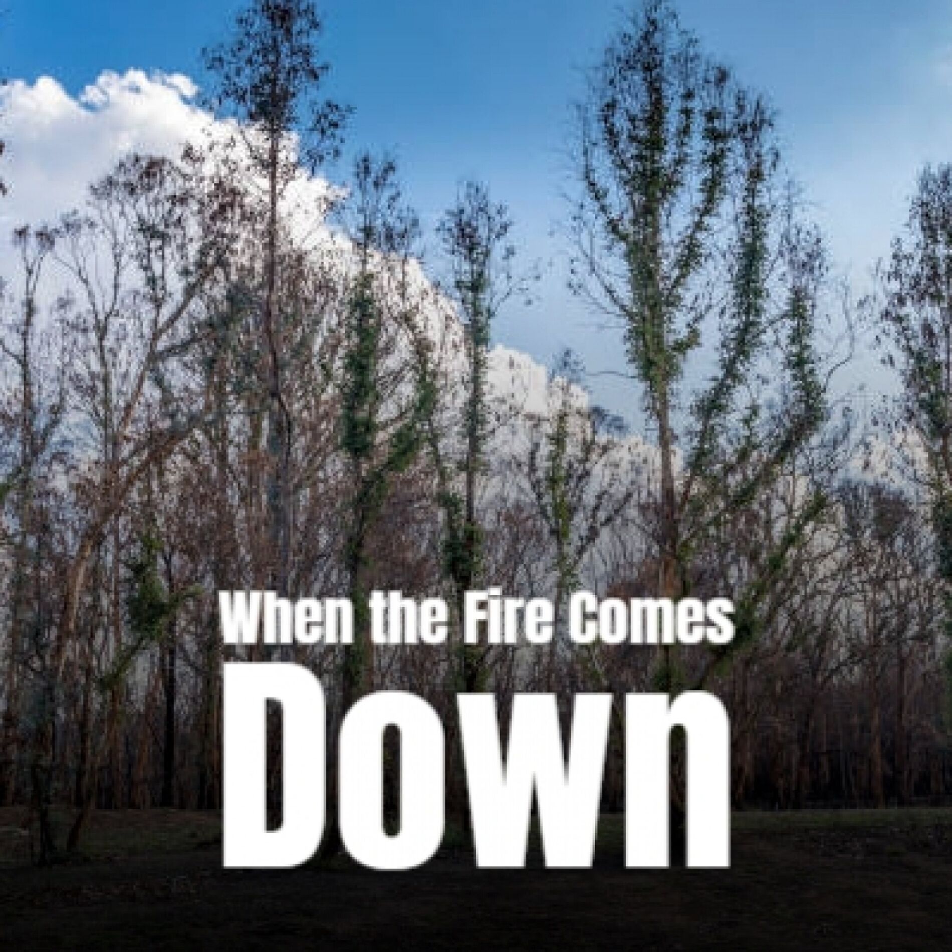 Album cover of When the Fire Comes Down