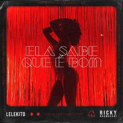 Cover of Ela Sabe Que É Bom