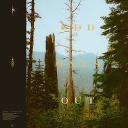 Cover of Odd Ones Out