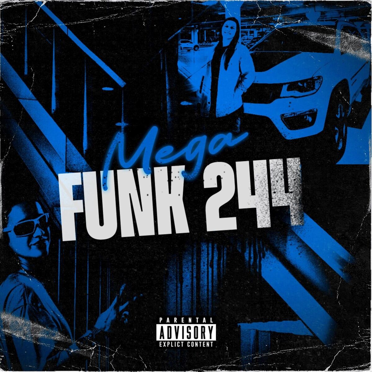 Album cover of MEGA FUNK 244