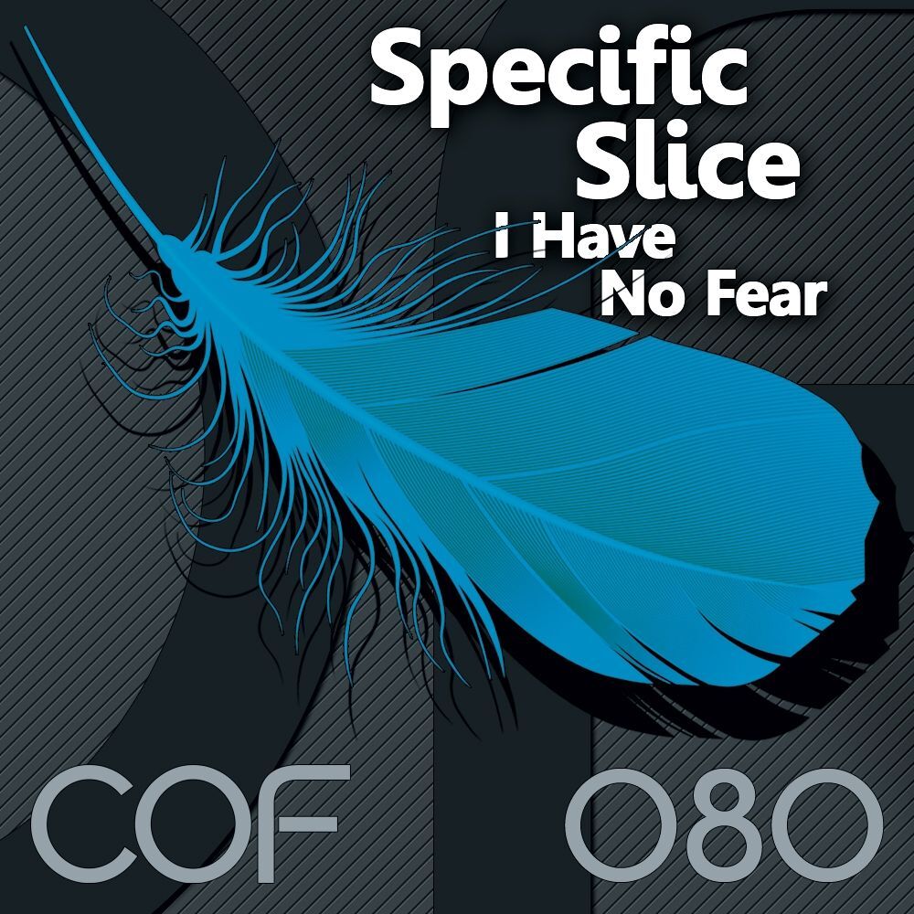 Picture of I Have No Fear