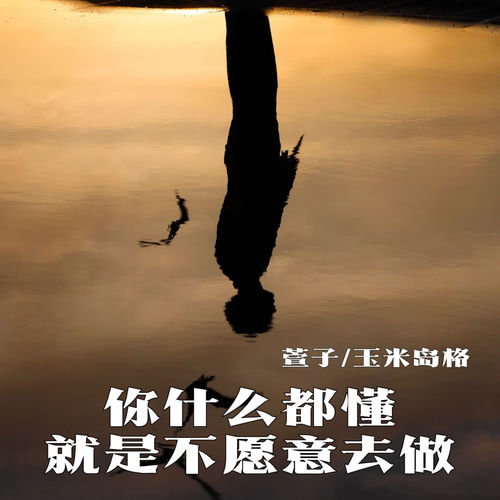 你什么都懂 就是不愿意去做