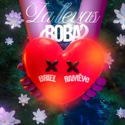 Cover of LA LLEVAS ROBA'