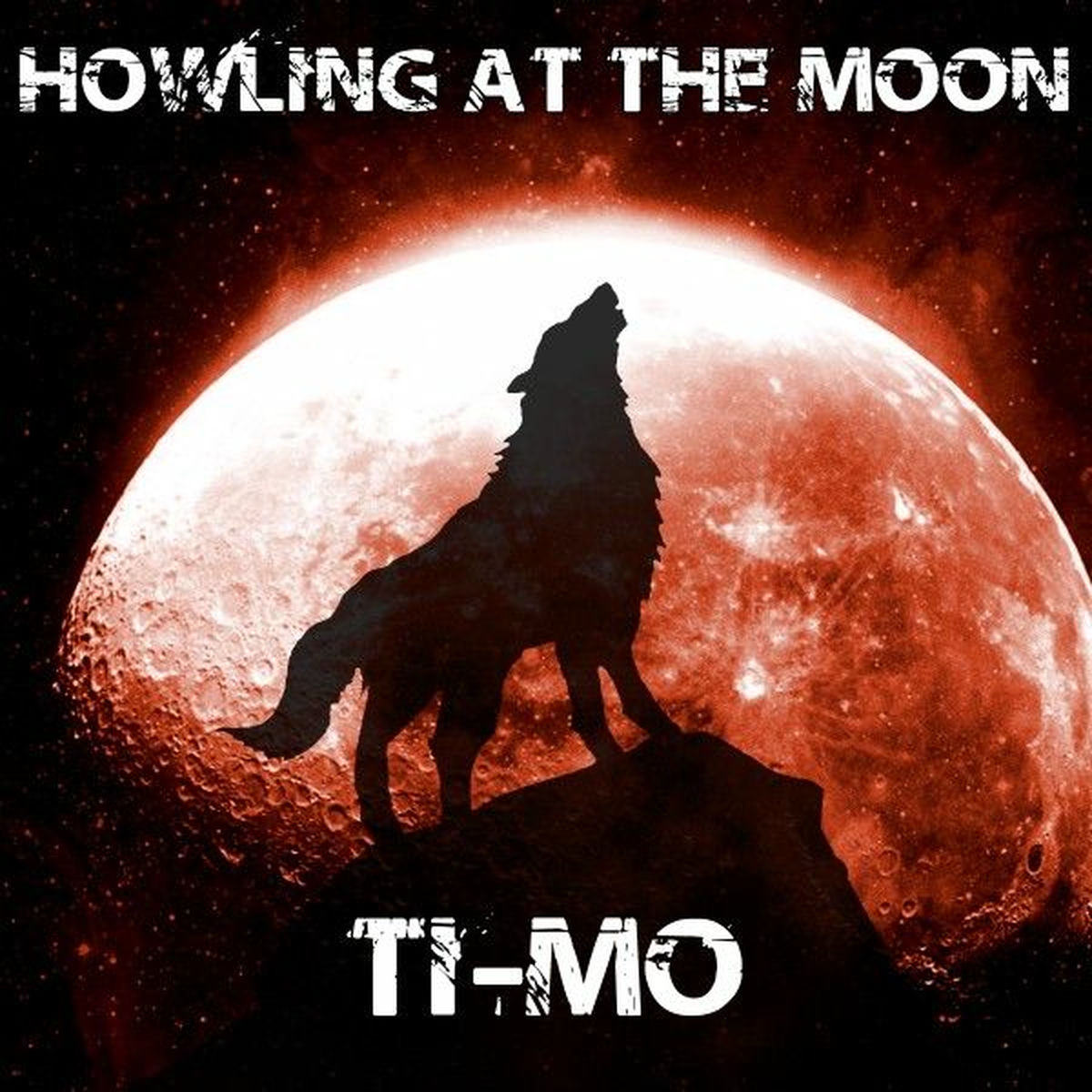 Album cover of Howling at the Moon