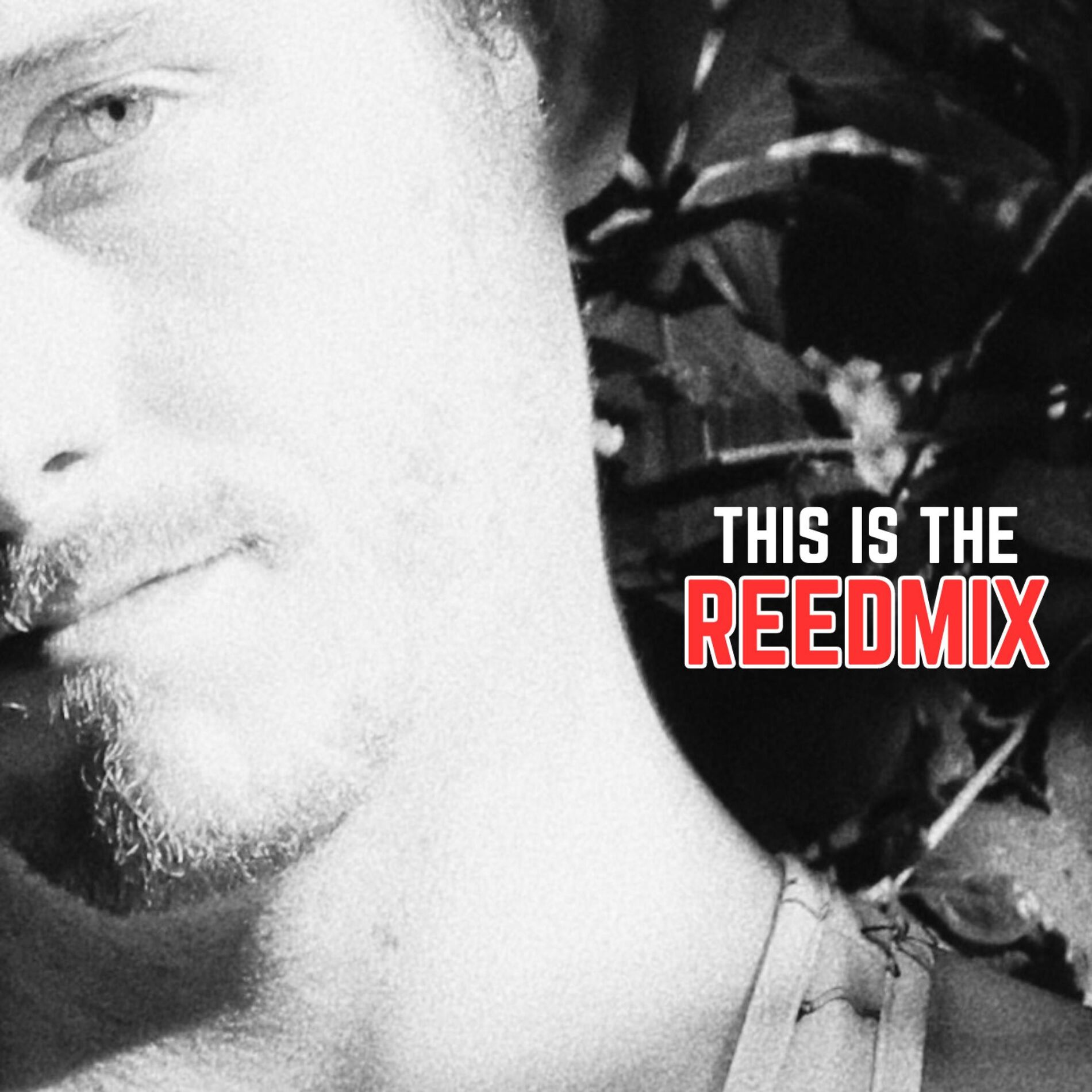 Album cover of This is the REEDmix, Vol. I
