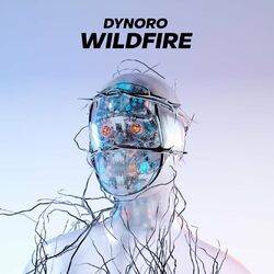 Cover of Wildfire
