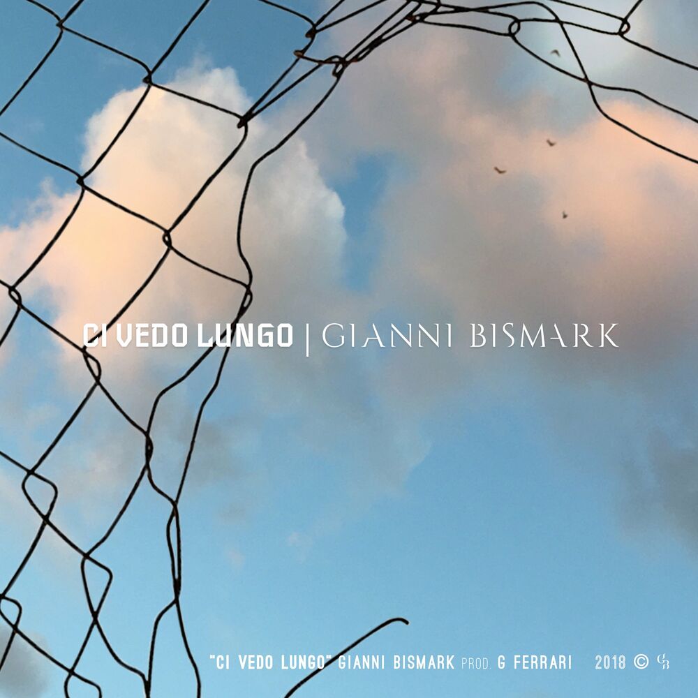 Picture of Ci vedo lungo