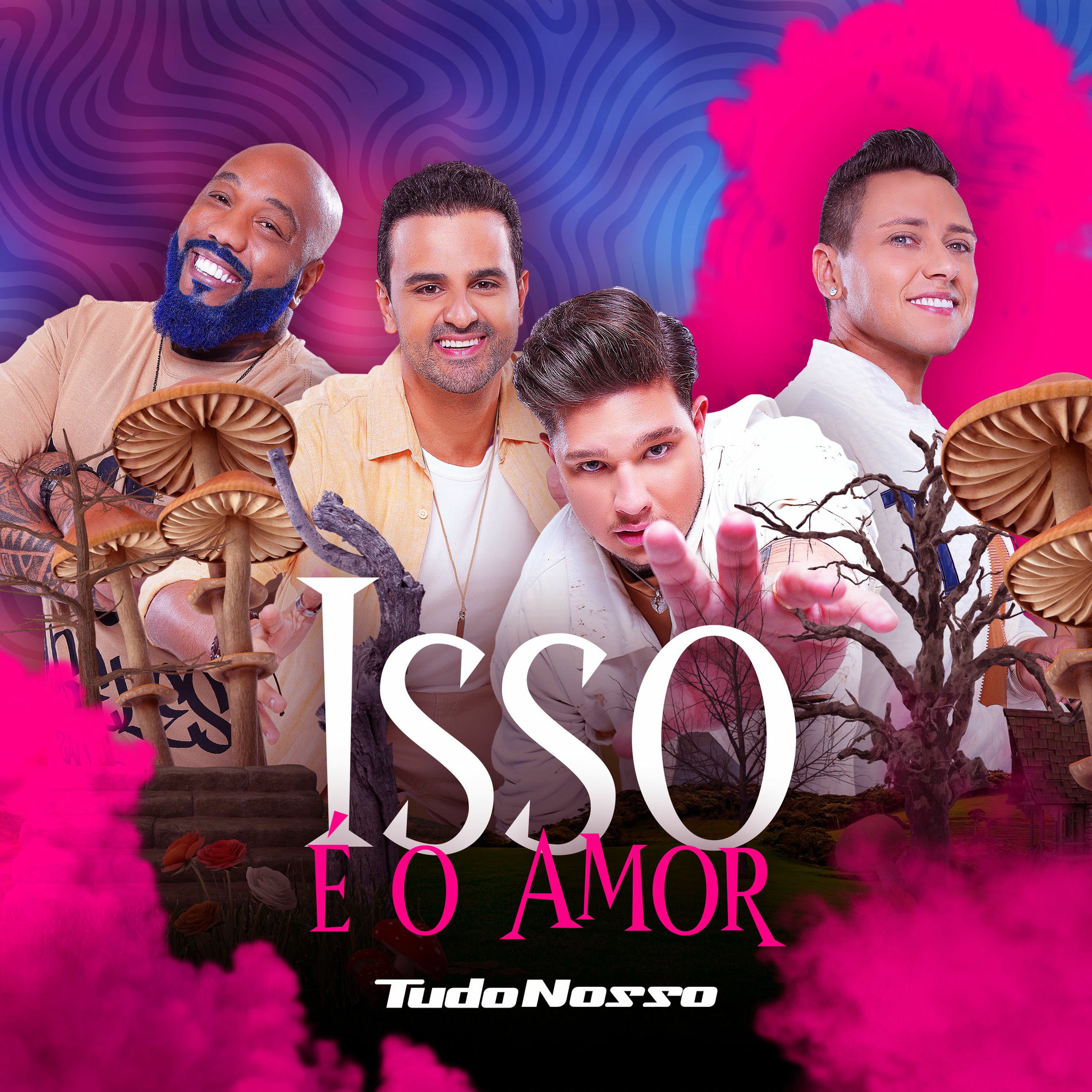 Album cover of Isso É o Amor