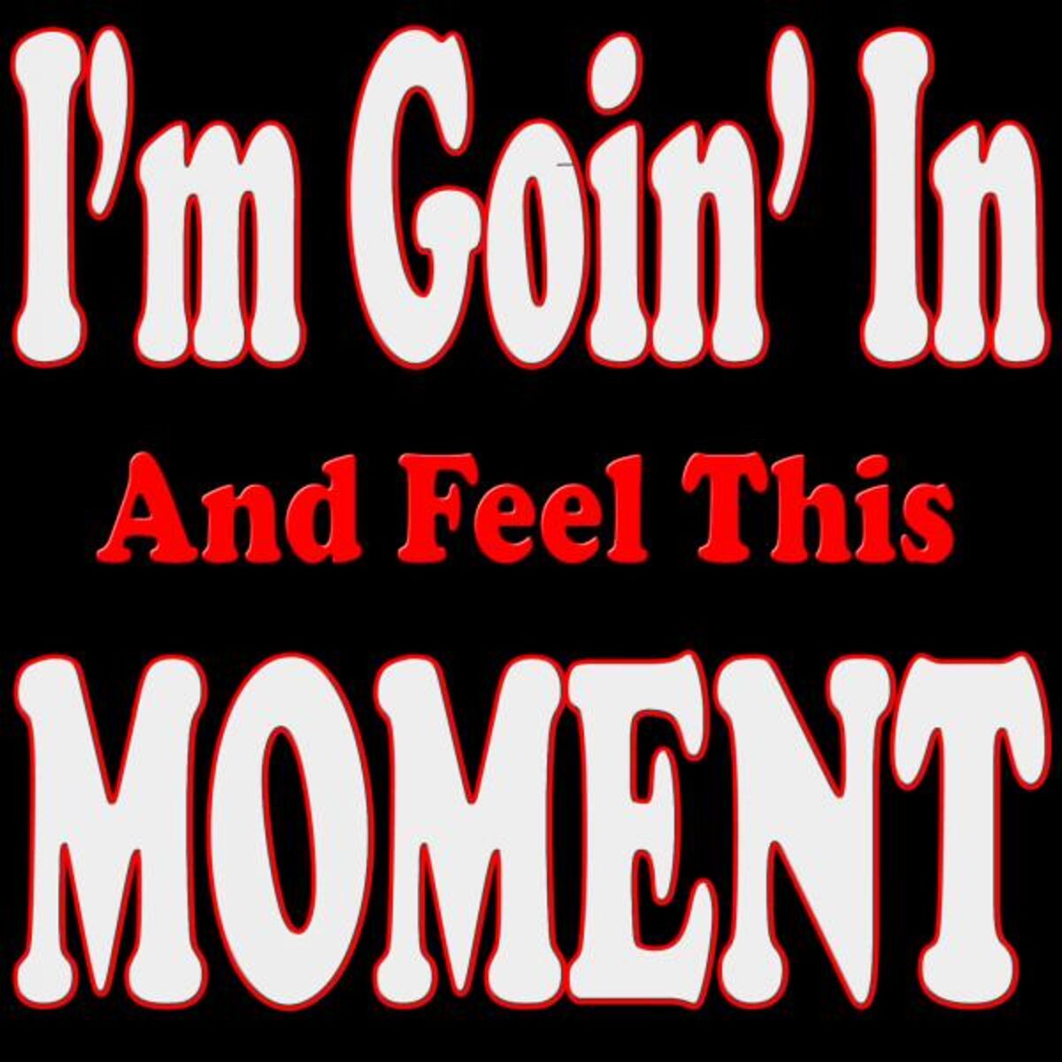 Album cover of I'm Goin' in and Feel This Moment