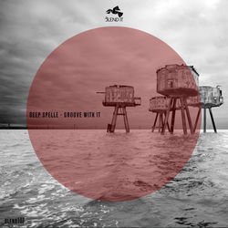 Cover of Groove with It by undefined