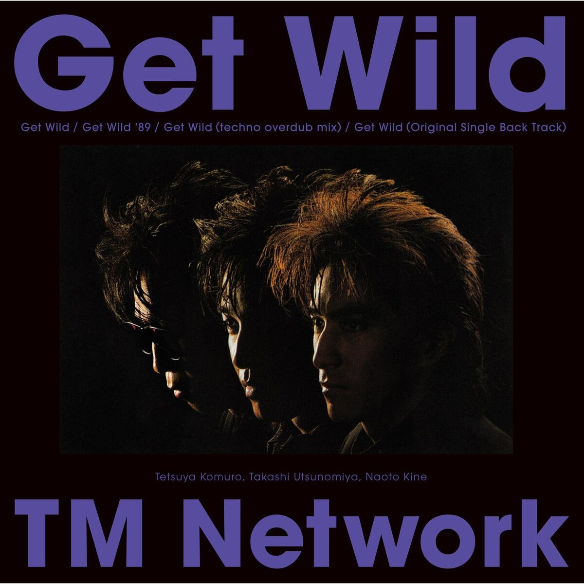 Album cover of Get Wild