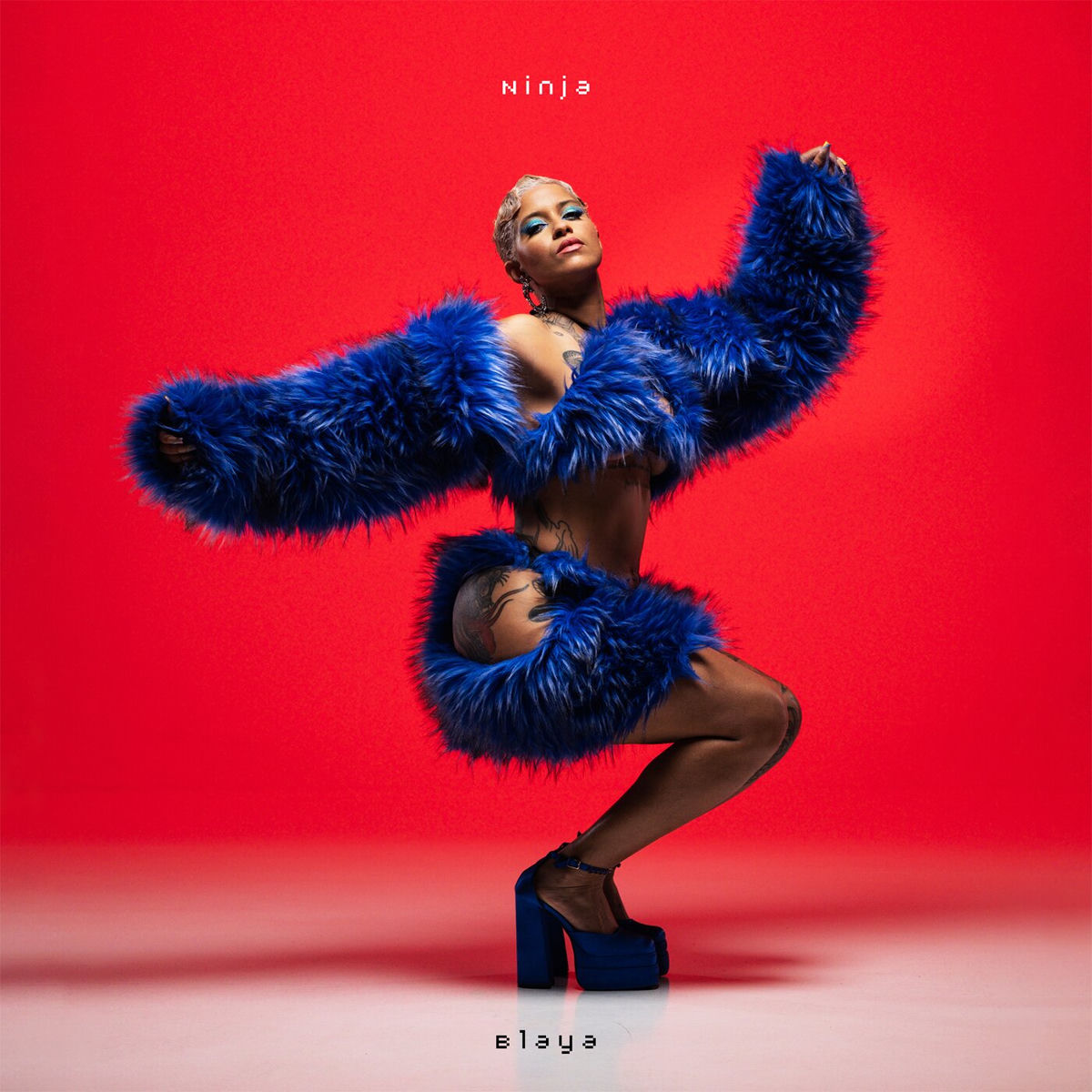 Album cover of Ninja