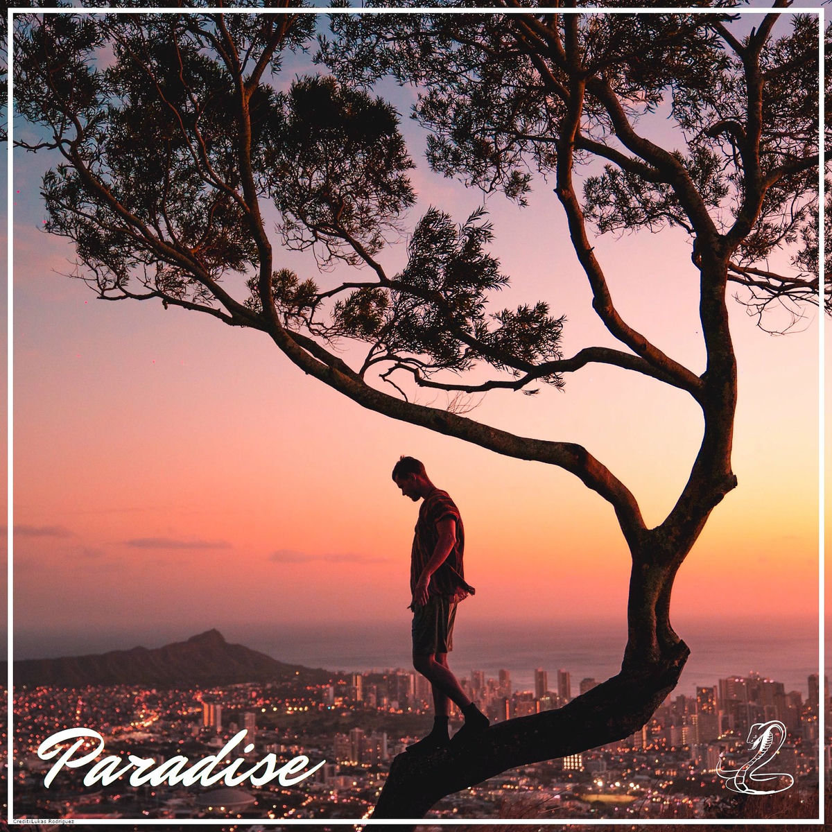 Album cover of Paradise